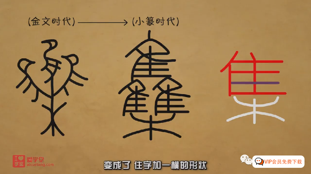 【清华附小爱学堂】语文汉字系列动画课程147集，偏旁、部首、多音字、同音字、形近字统统搞定！！