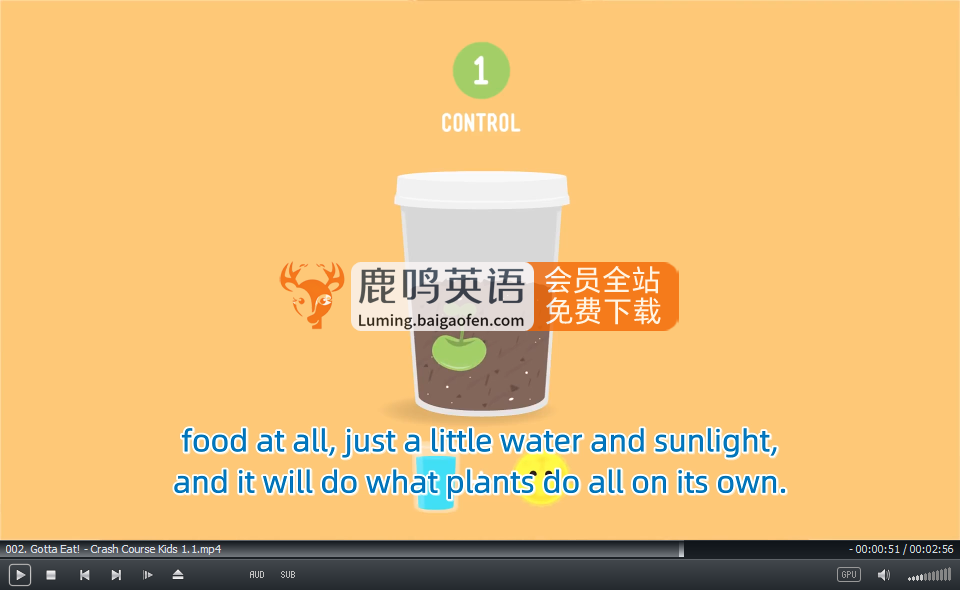 Crash Course Kids 图片7