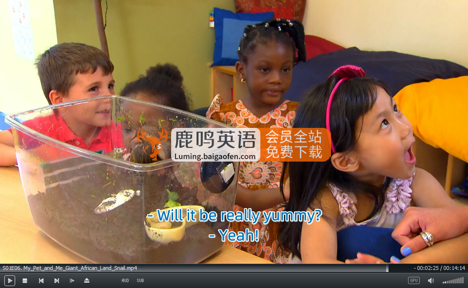 My Pet and Me 图片7