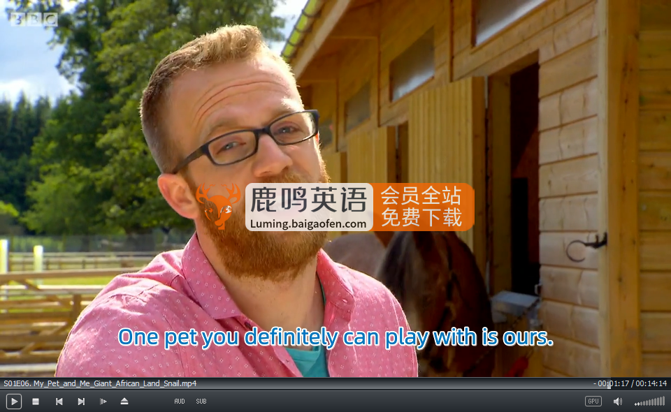 My Pet and Me 图片9