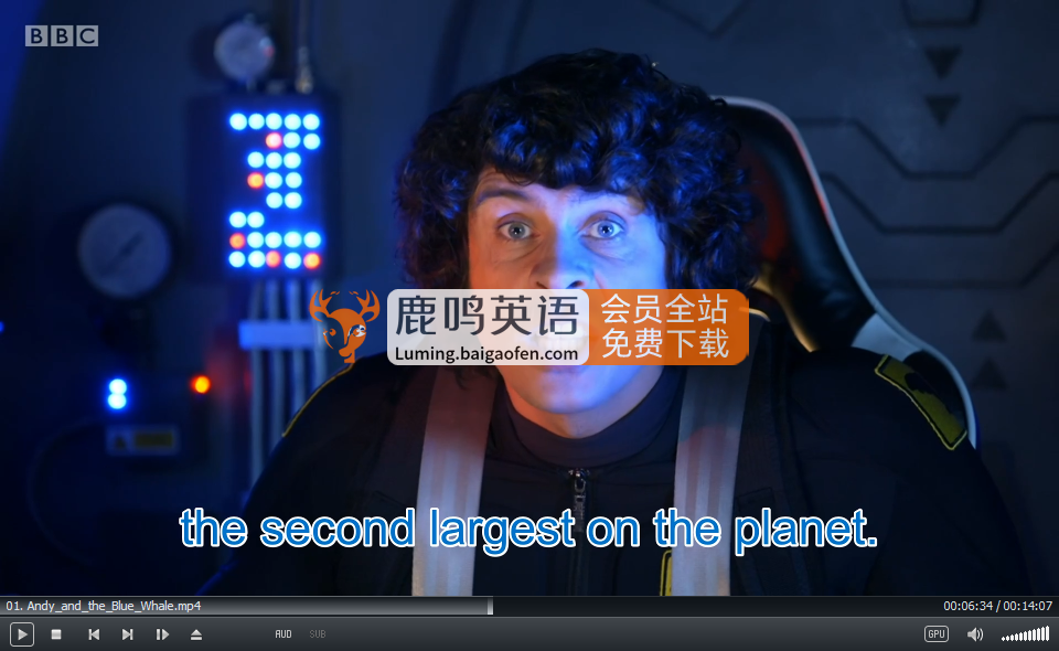 Andy's Aquatic Adventures 安迪 图片7