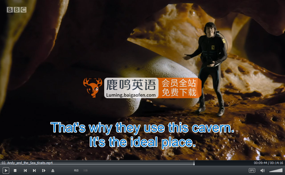 Andy's Aquatic Adventures 安迪 图片13