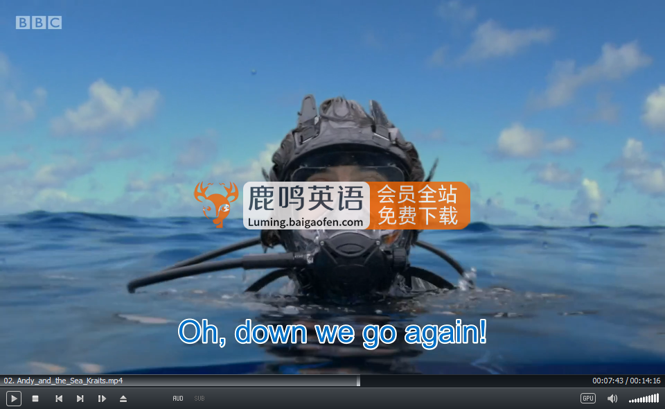 Andy's Aquatic Adventures 安迪 图片15