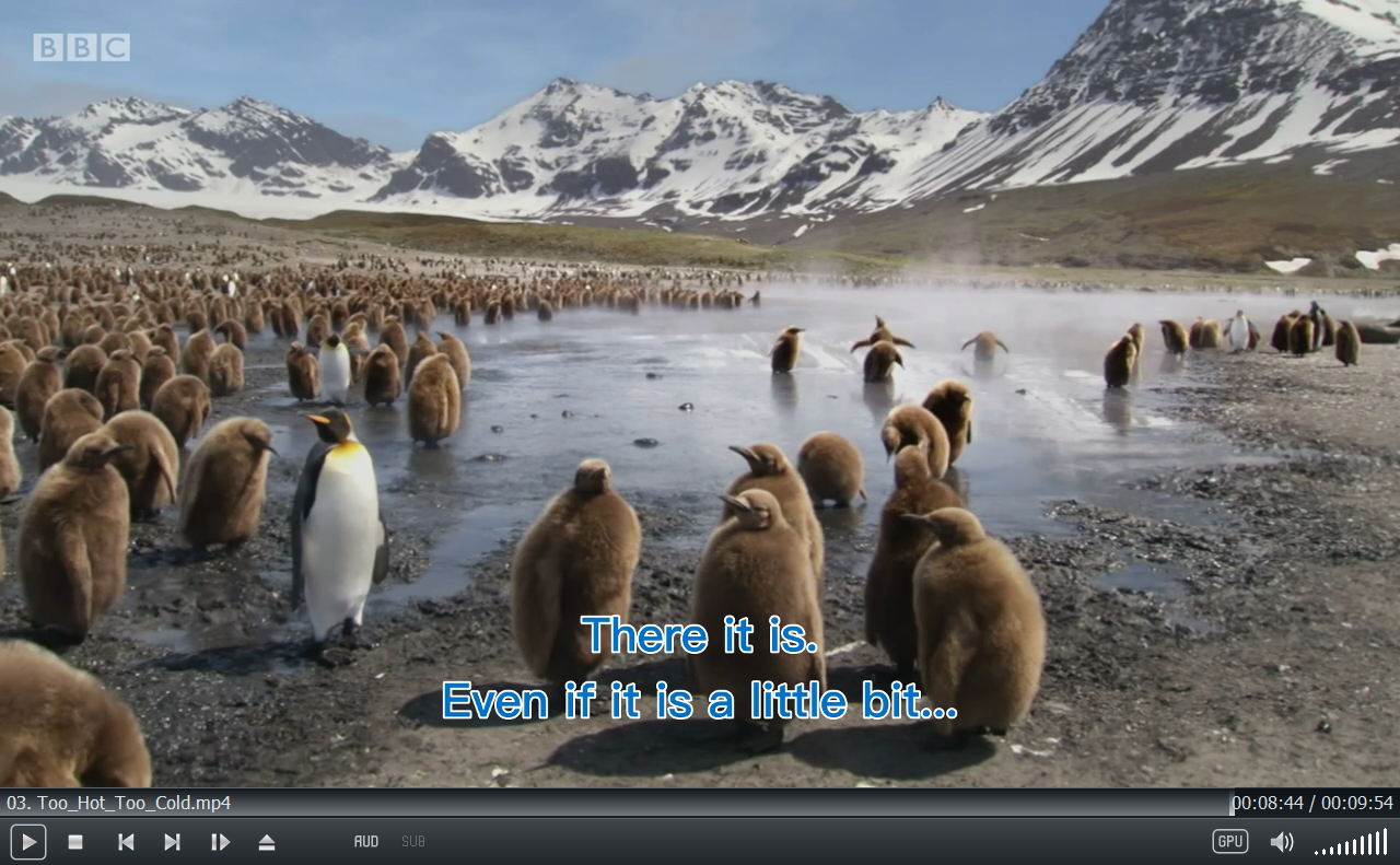 Andy's Baby Animals 图片11
