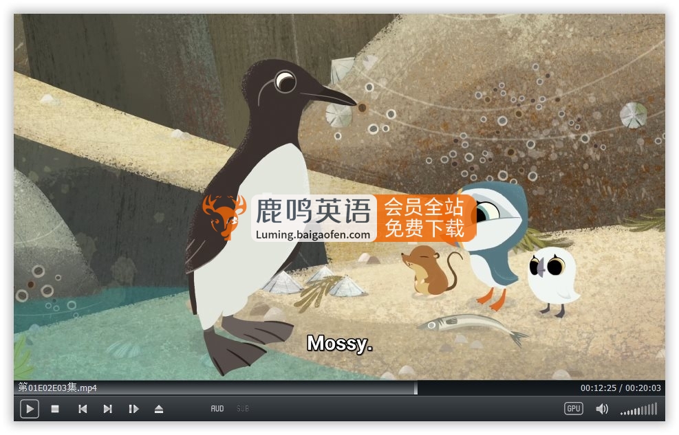 学龄前英文动画片《Puffin Rock 欢乐海鹦岛》全1-3季共99集，1080P高清视频带英文字幕，百度网盘下载！