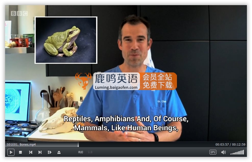 英国儿童医学科普节目《Operation Ouch! Do Try This at Home》全三季共30集，1080P高清视频带英文字幕，百度网盘下载！