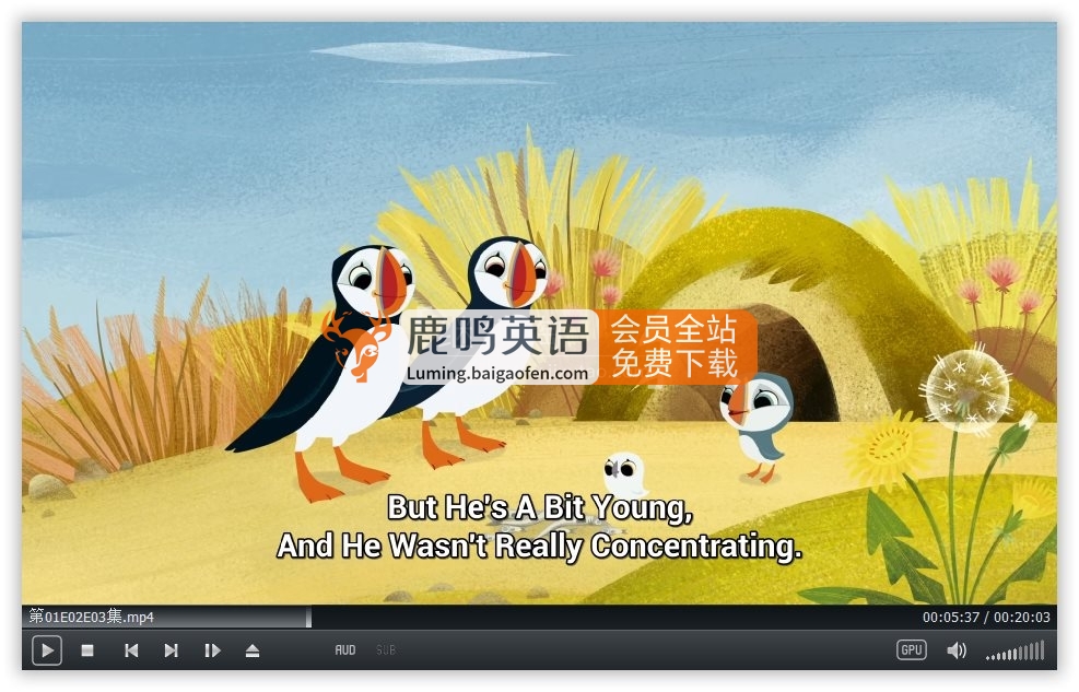 学龄前英文动画片《Puffin Rock 欢乐海鹦岛》全1-3季共99集，1080P高清视频带英文字幕，百度网盘下载！