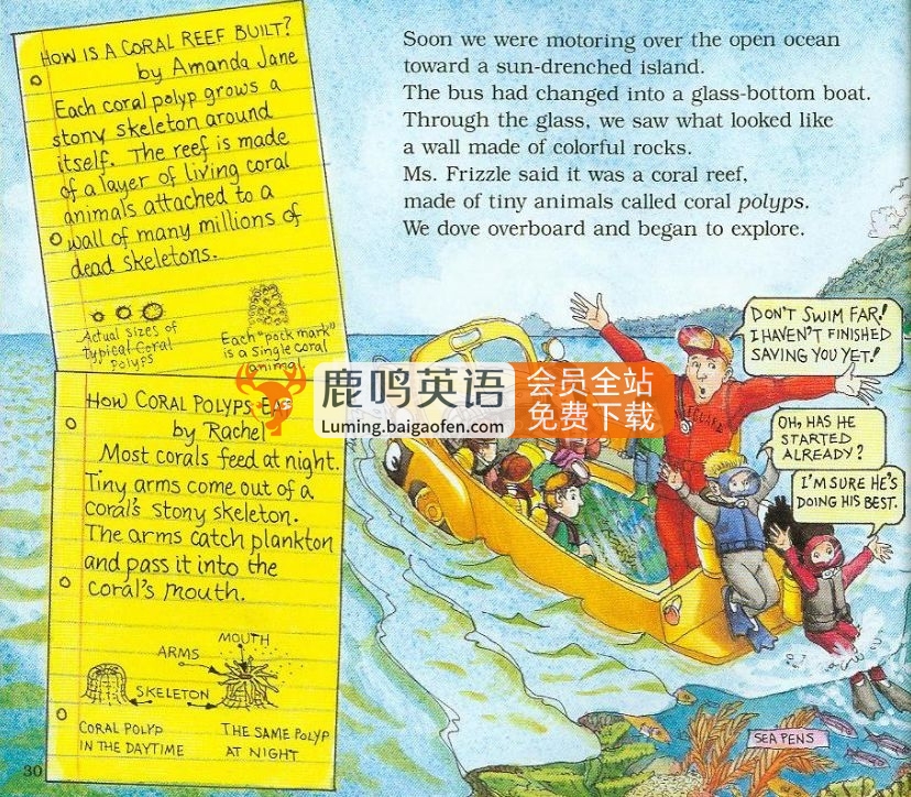 科普英语动画片《神奇校车The Magic School Bus》全1-4季共52集标清视频 配套音频 PDF绘本，百度网盘下载！